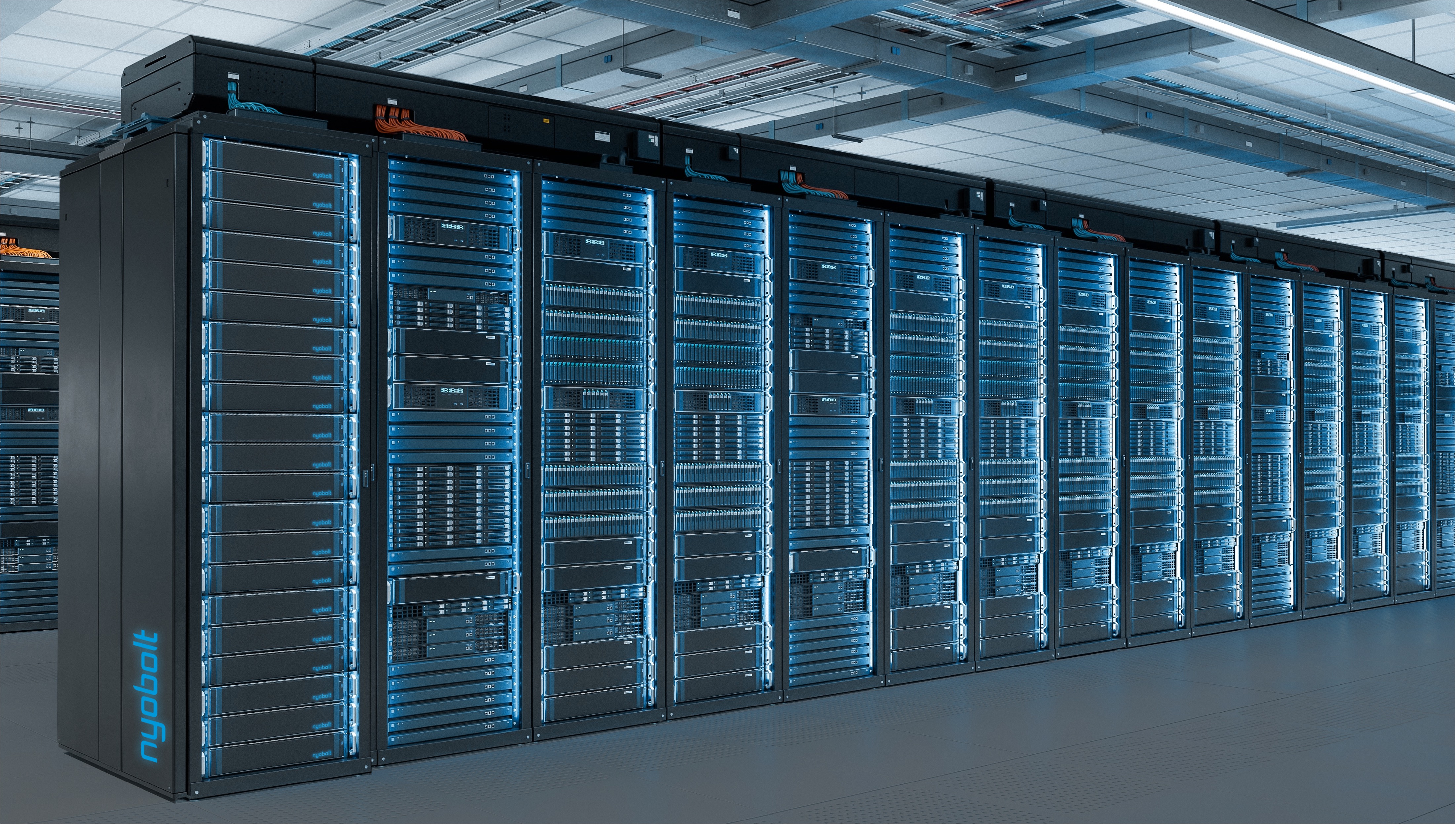 Nyobolt Dynamic Response System